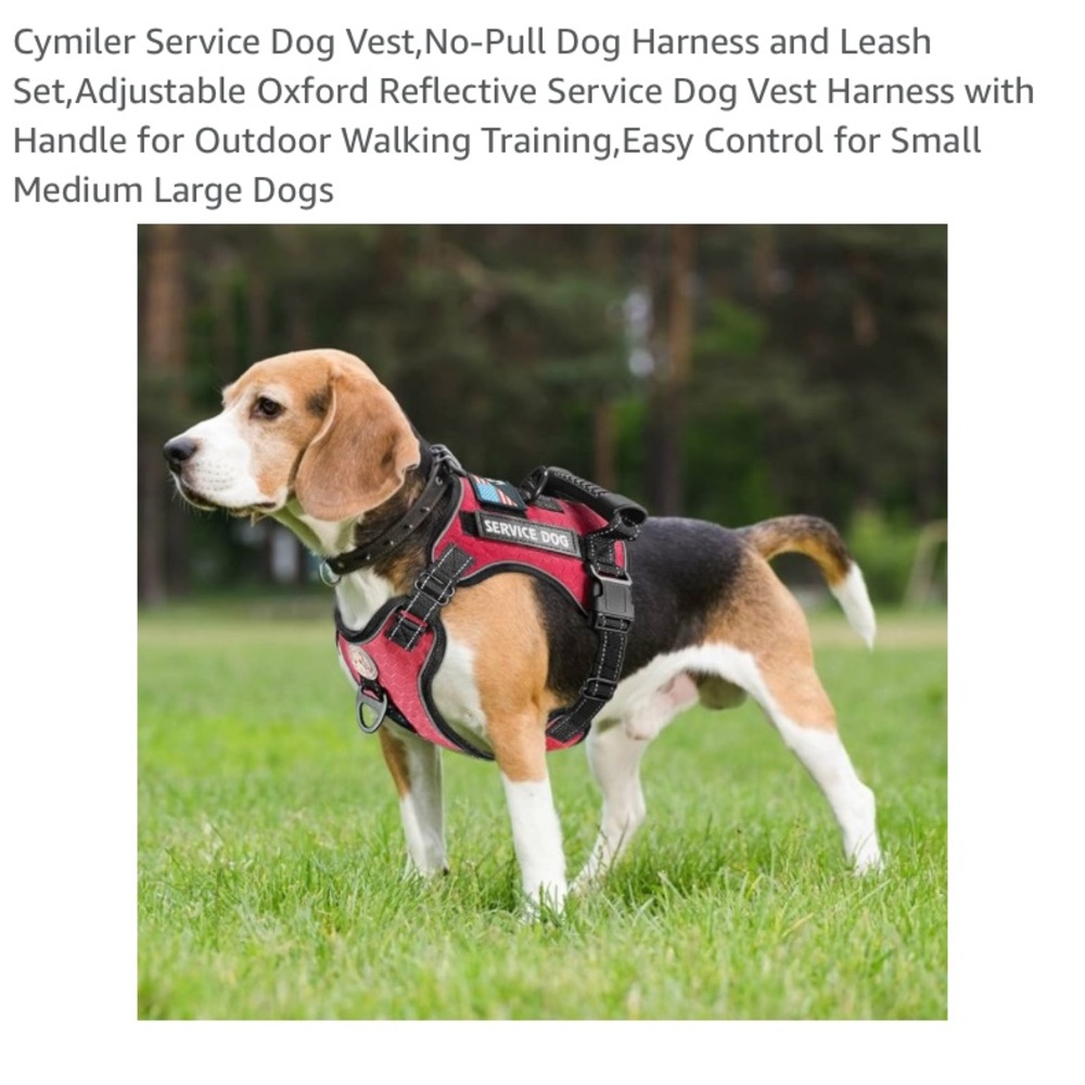 Service Dog Harness and Leash Set - Red and Black XS